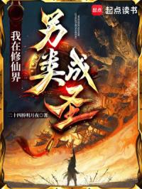 大苍守夜人封面